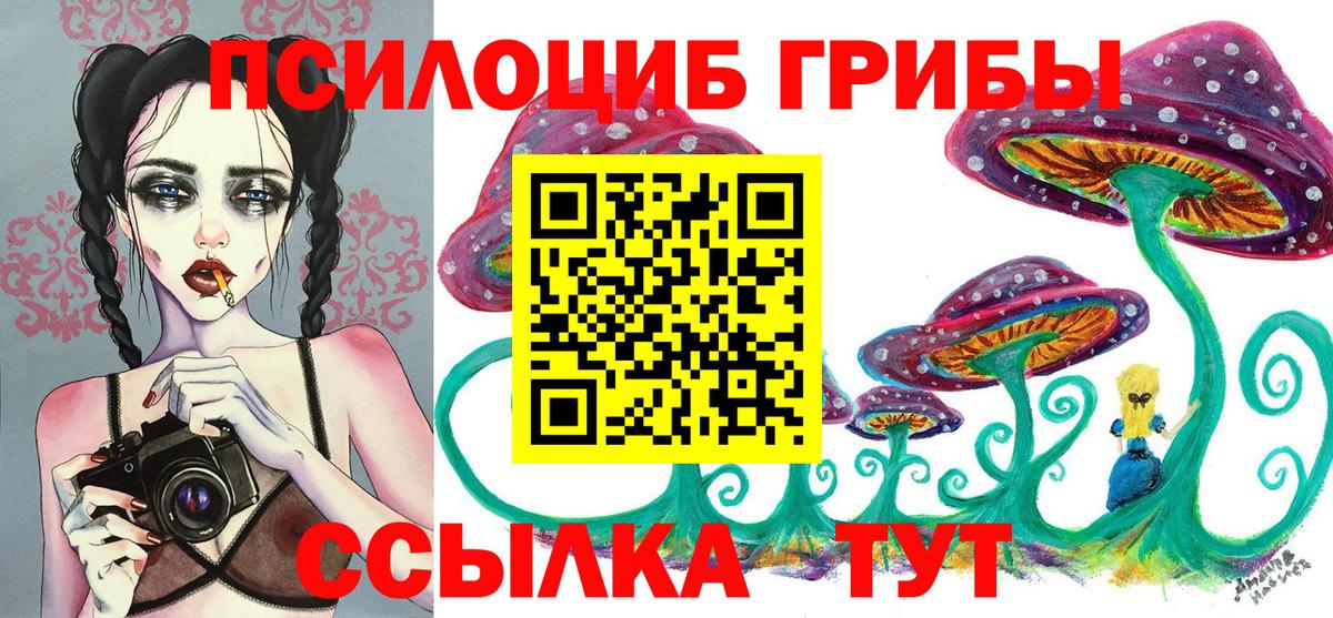 Глазов  Псилоцибиновые грибы Cubensis  Вход с VPN 
